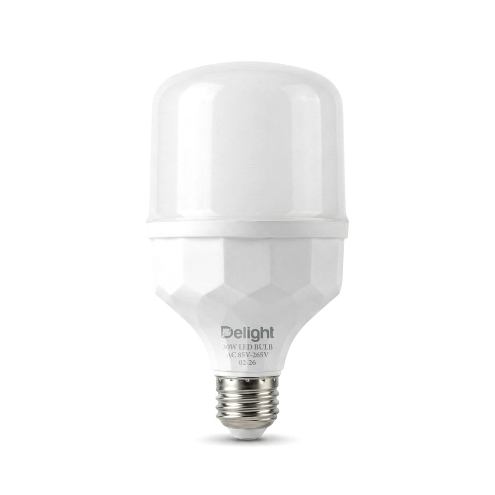 30W LED Bulb